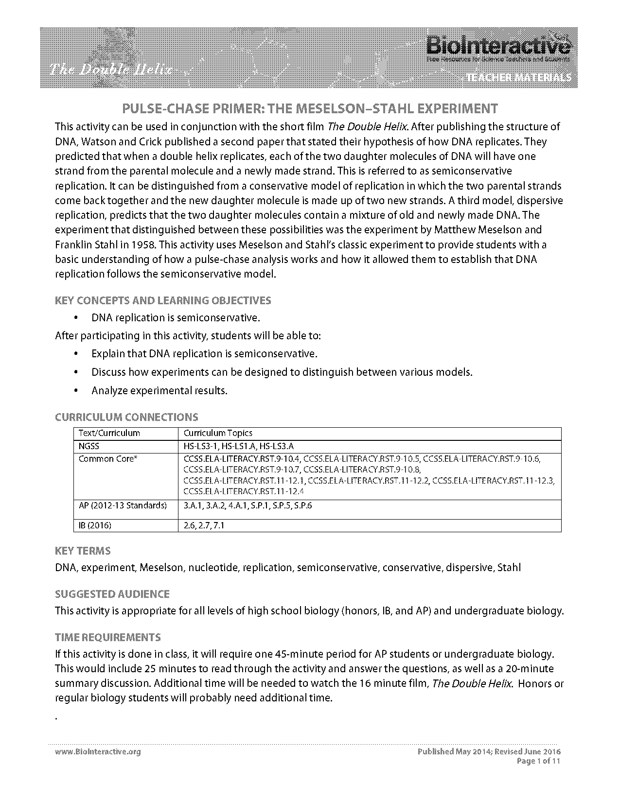 dna replication questions worksheet answers