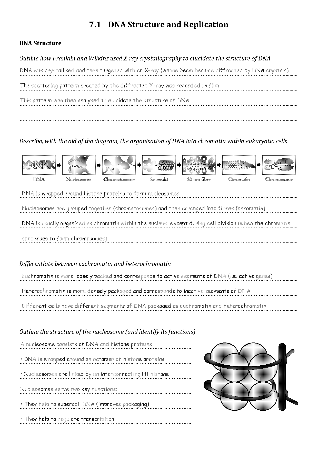 dna components and structure worksheet ib answer key