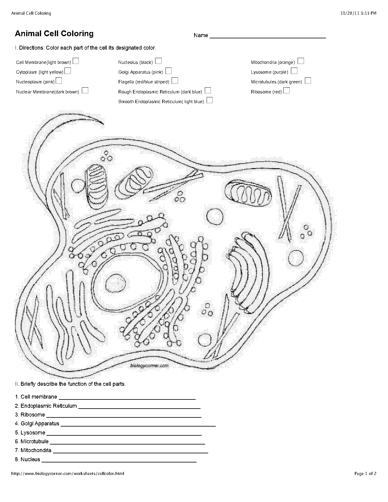 animal cell colouring worksheet