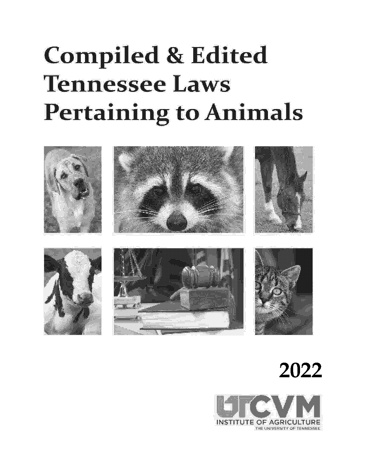 legal age of consent in tennessee for a tattoo