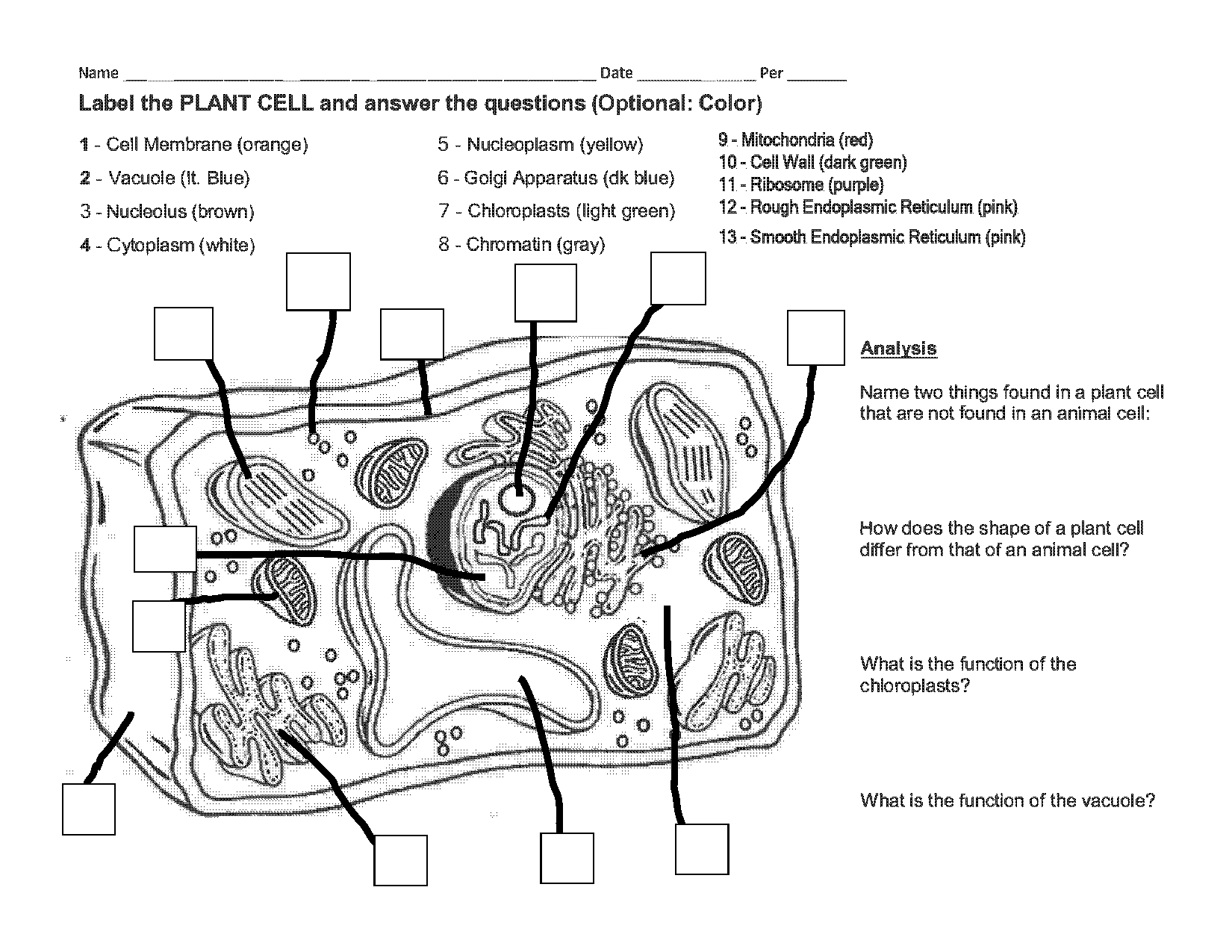 label plant cell worksheet