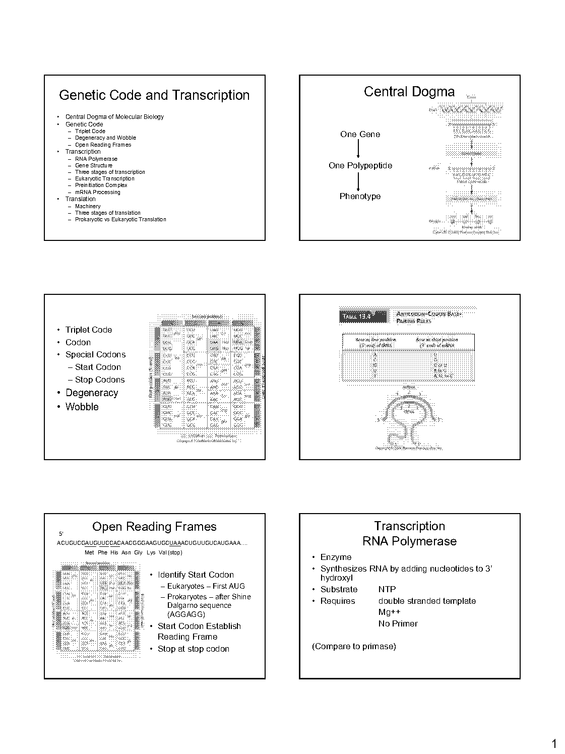 transcription of genetic code