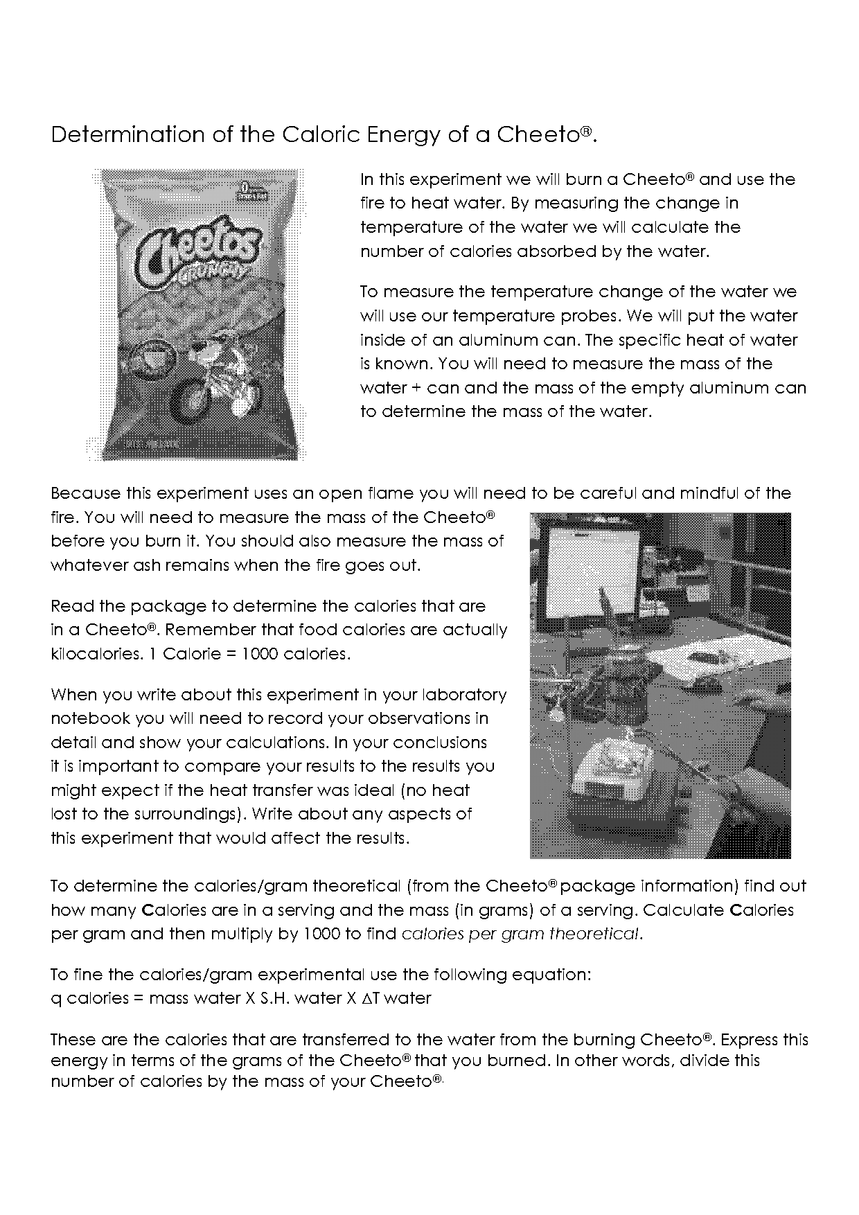 cheeto lab chemistry lab report