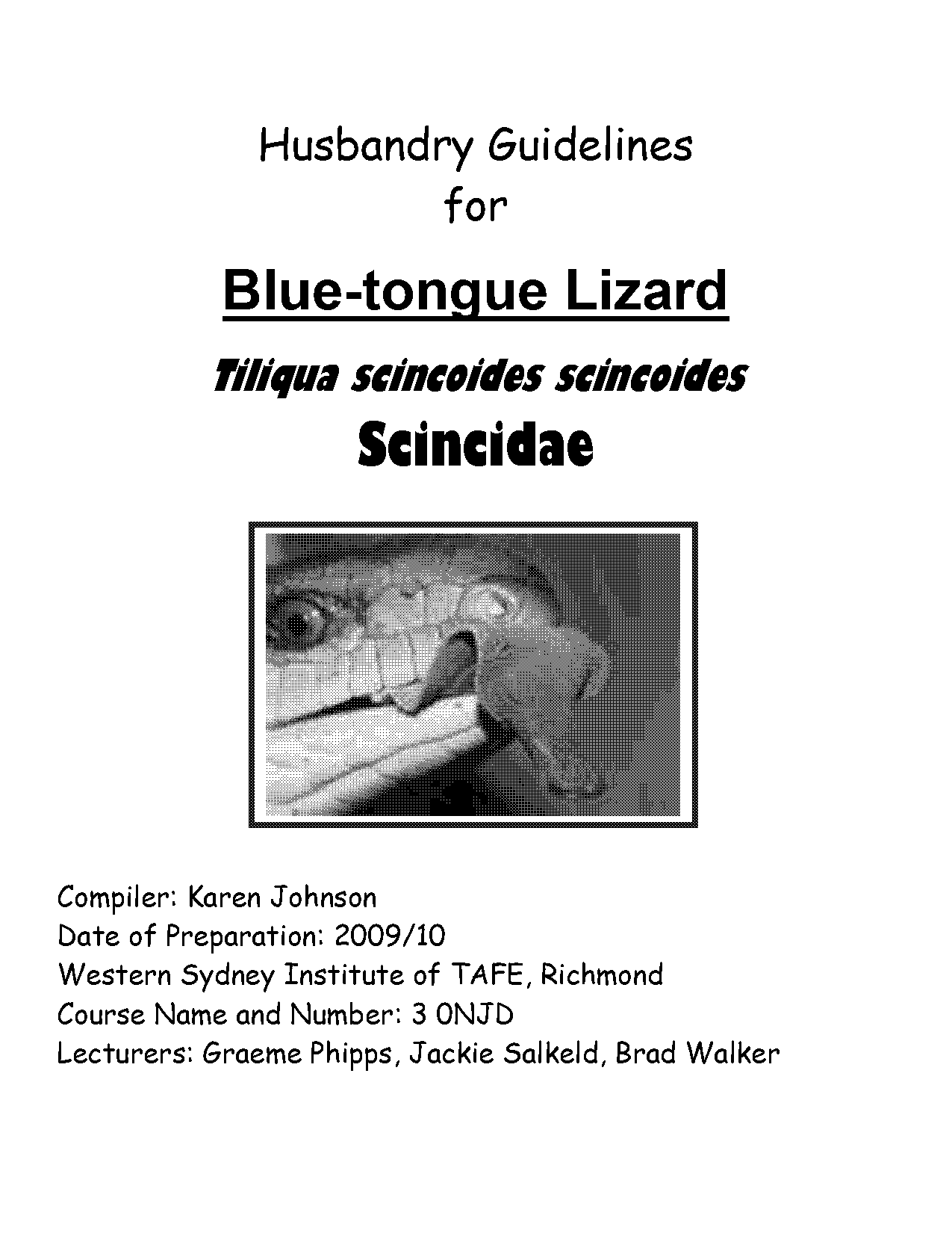 do you need licence blue tongue lizard