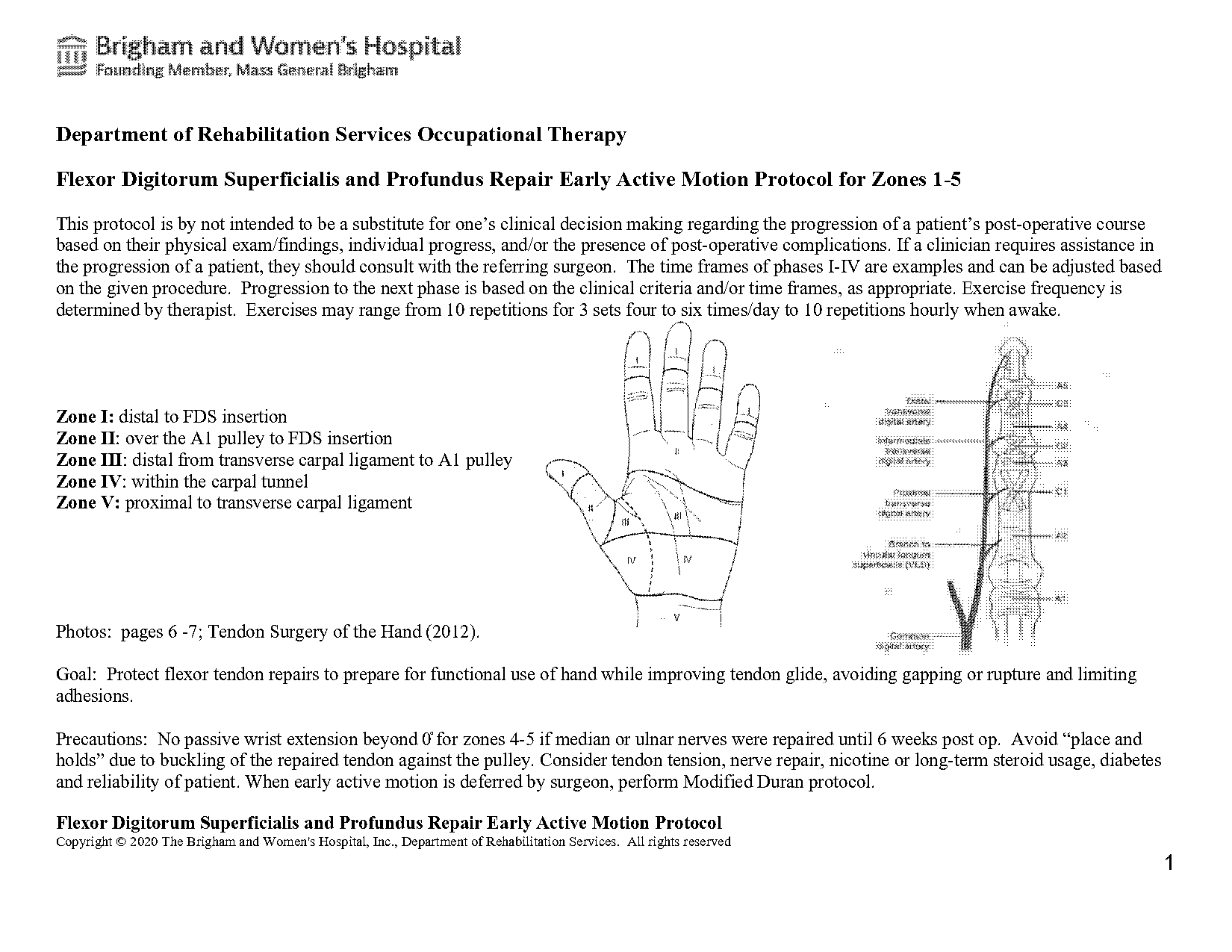 hand nerve repair rehab protocol