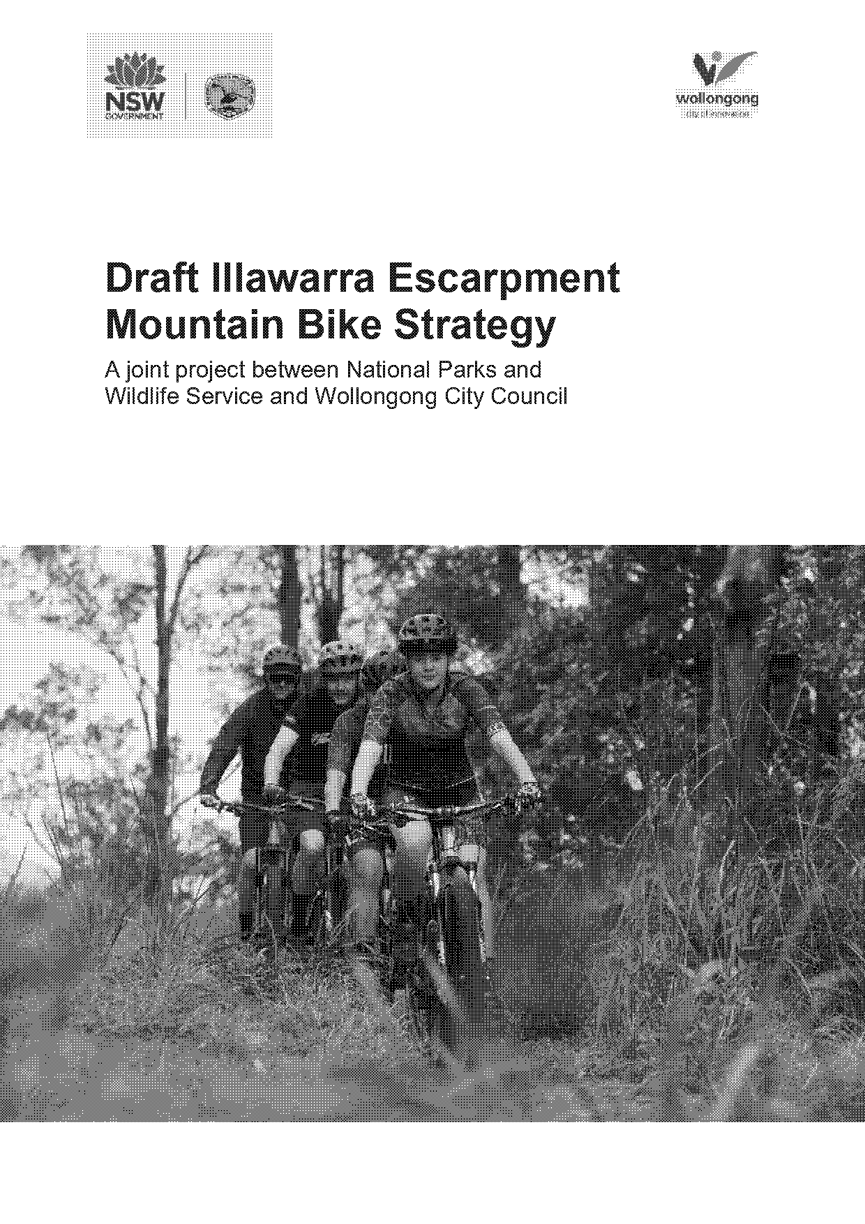 illawarra escarpment strategic management plan