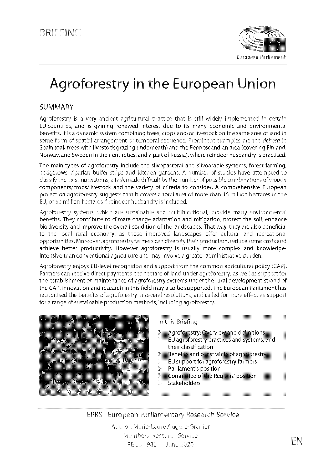 national agroforestry policy wiki