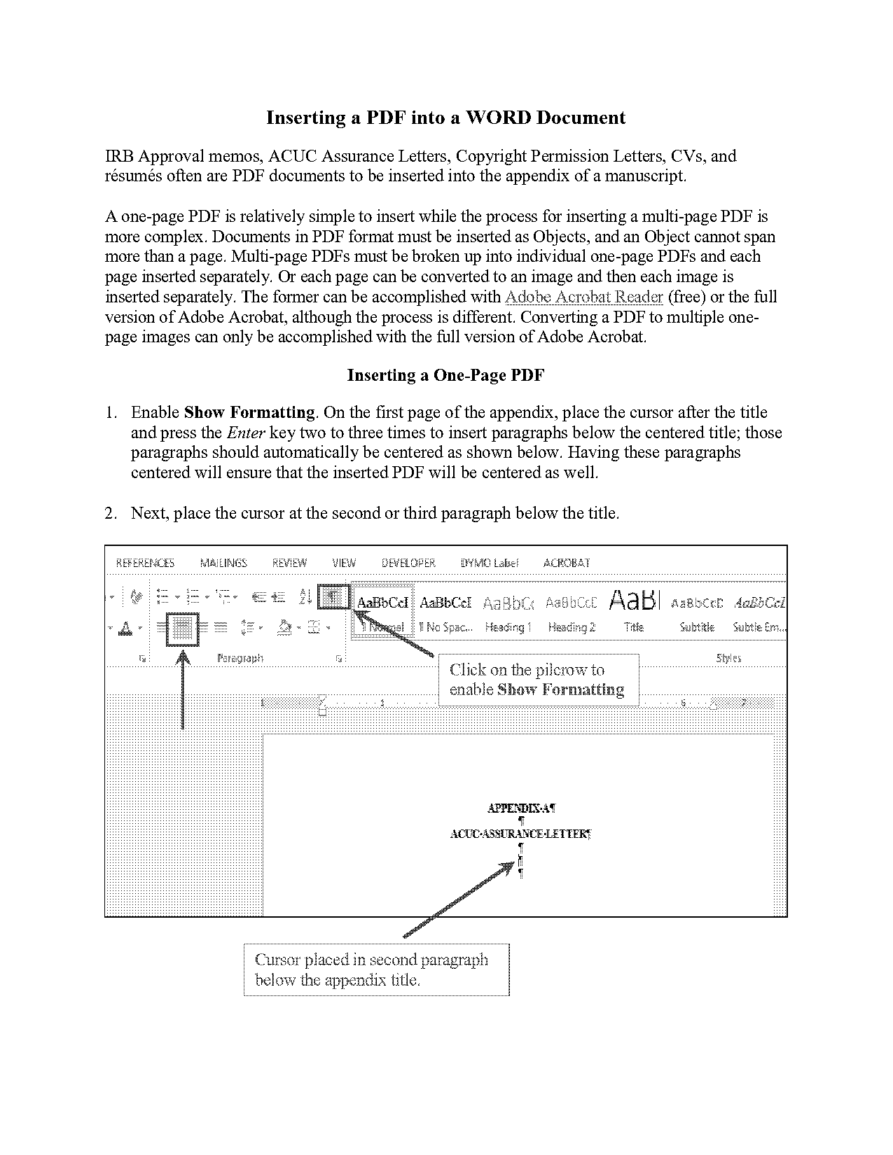 how to insert a multi page word document into excel