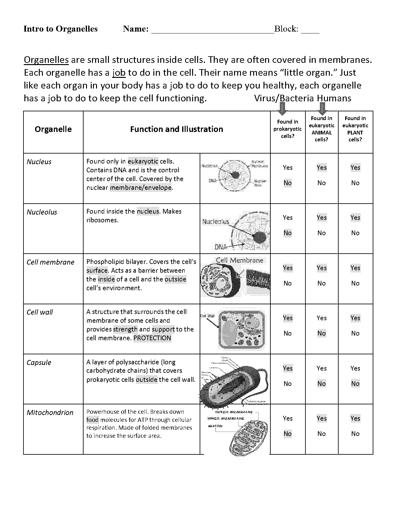 cell parts and functions notes pdf