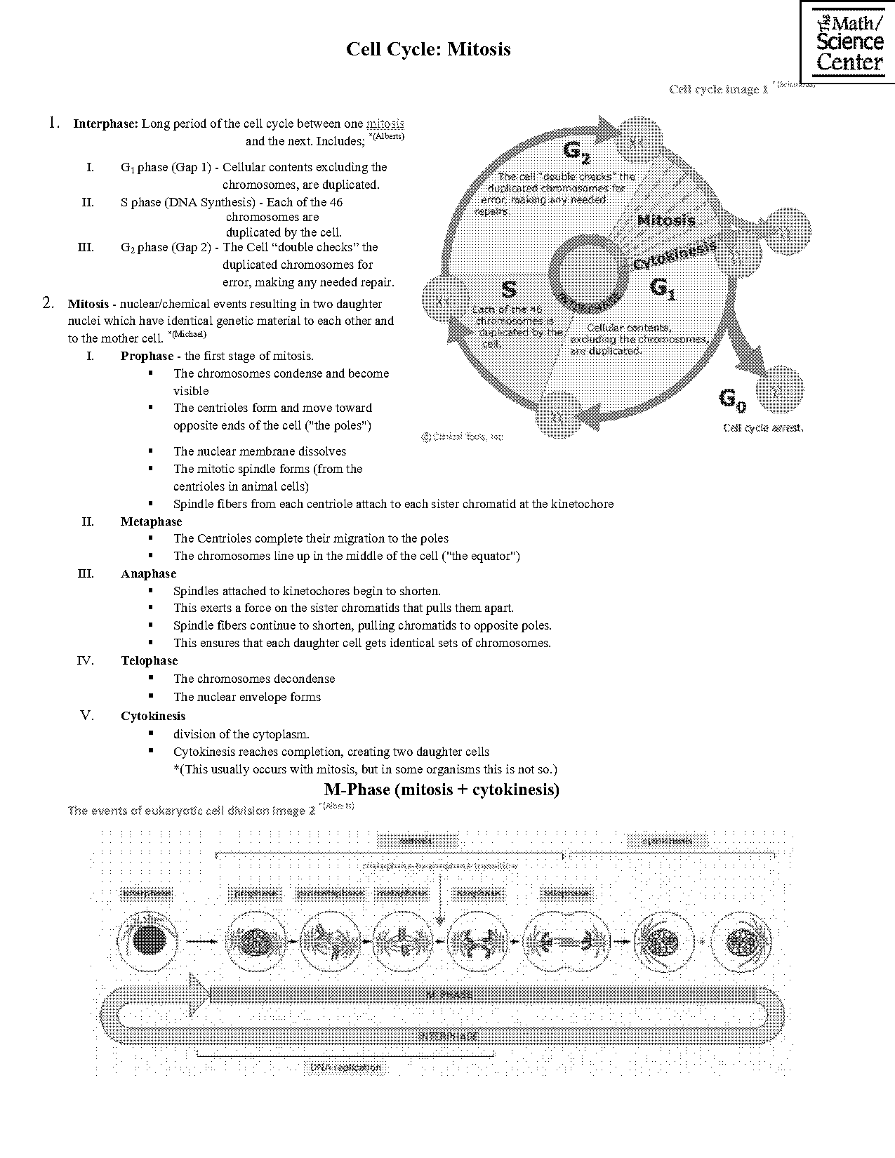 printable blank diagram animal cell