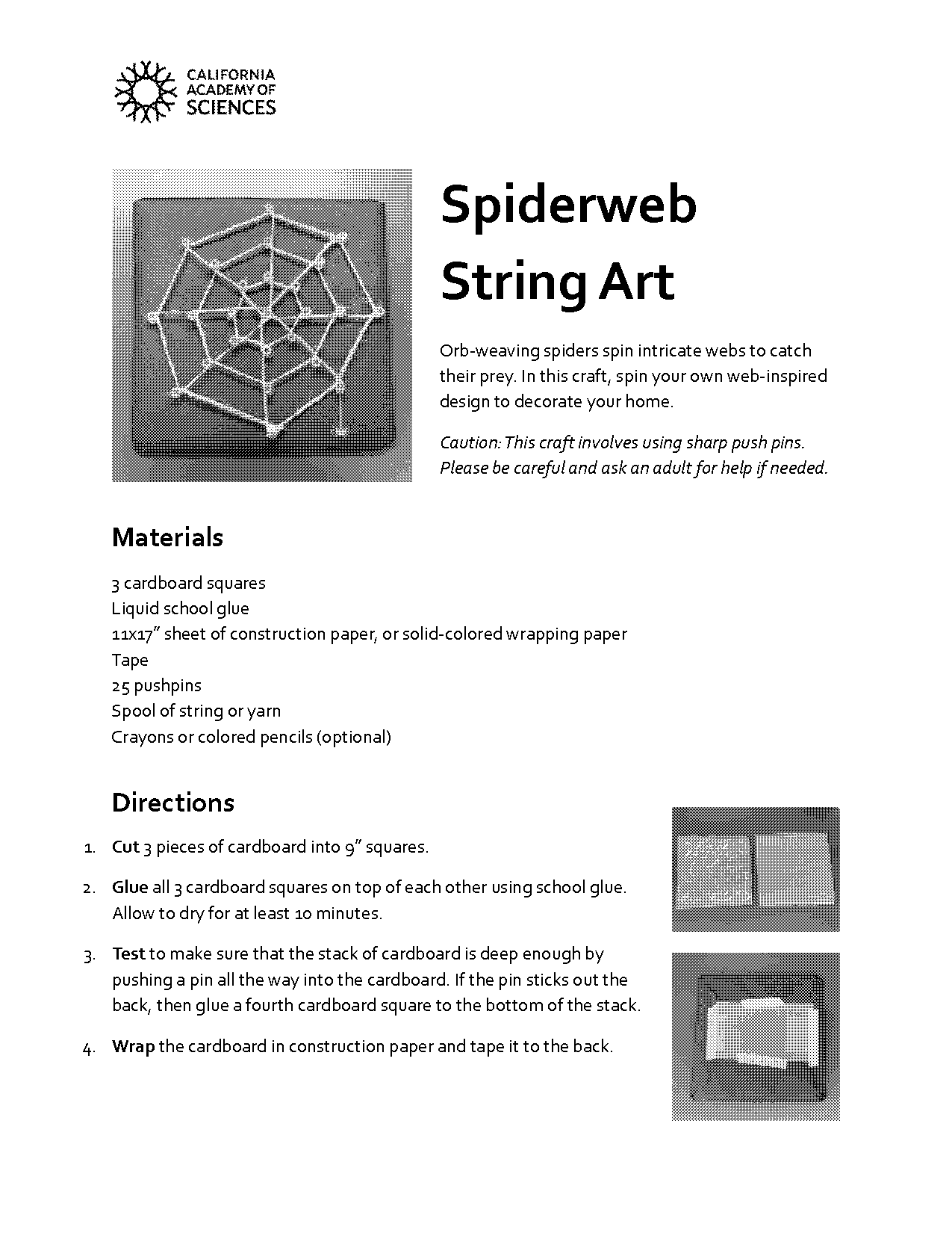 popsicle stick spider web instructions