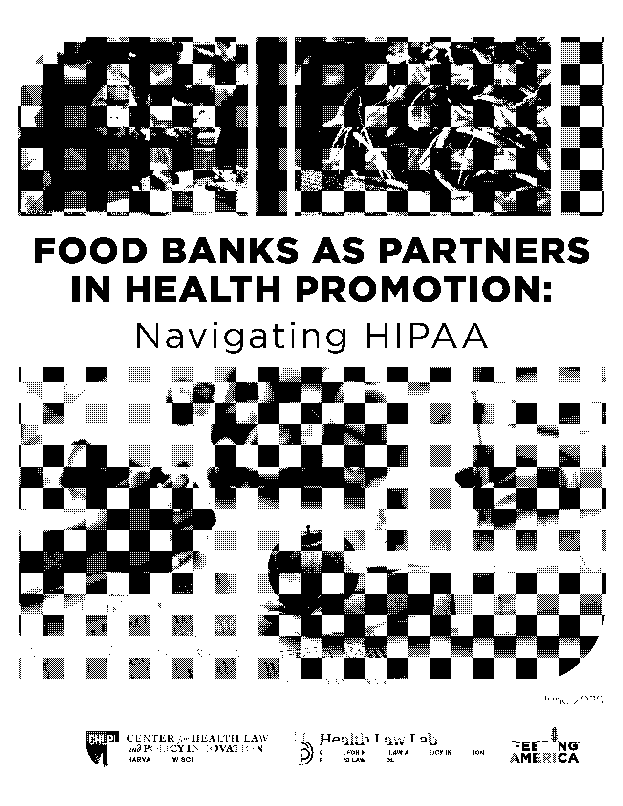 houston food bank consent form