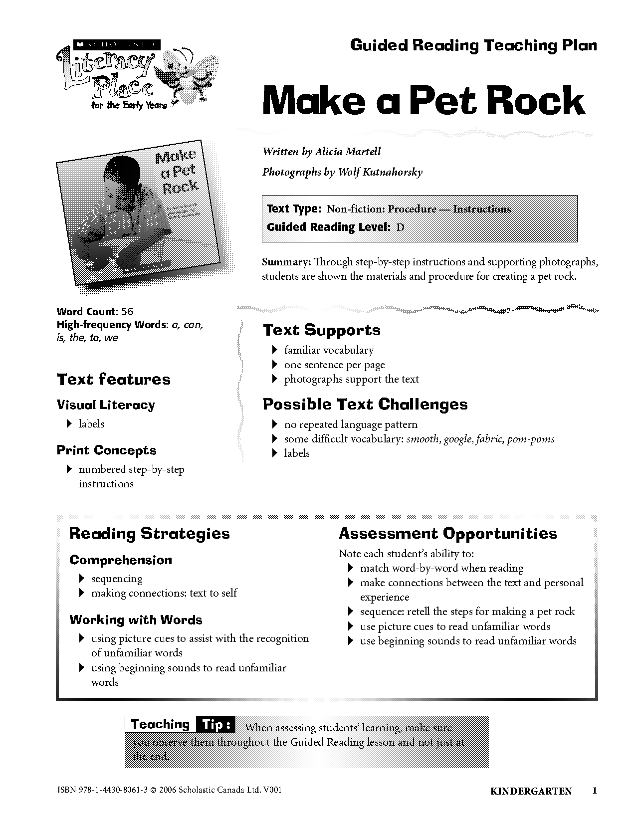 pet rock instructions pdf