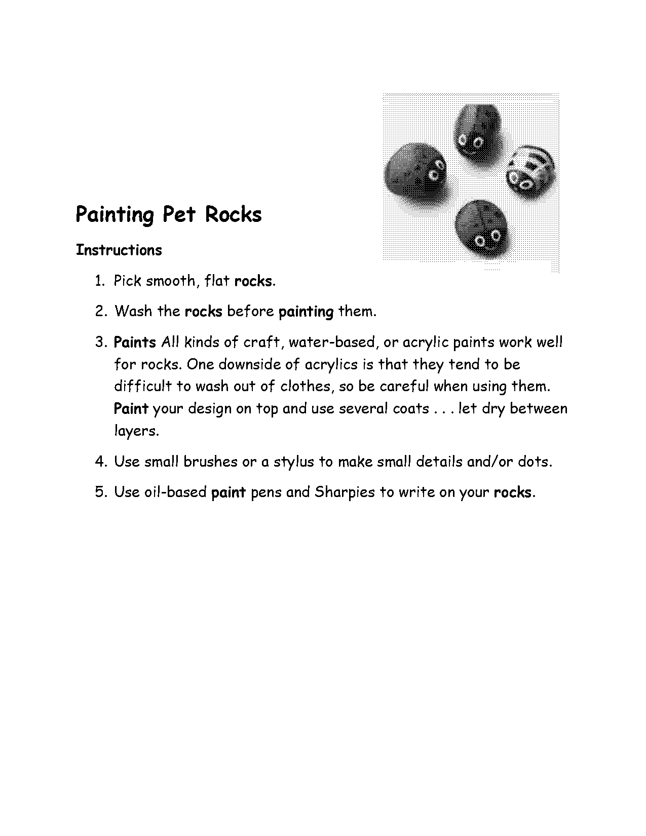 pet rock instructions pdf